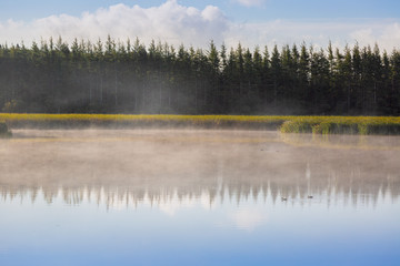 Fototapeta premium Mist rising over a still waters.