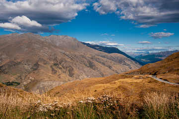 driving in New Zealand with a mountain view