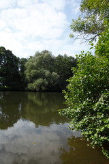 Parkteich mit Bäumen