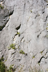 texture of stone lit by the evening sun