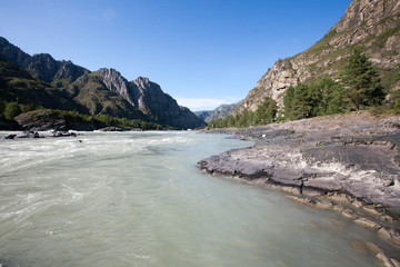 the bank of the Katun river behind the village of Elanda, Chemal district, Altai Republic, Russia, the month of August