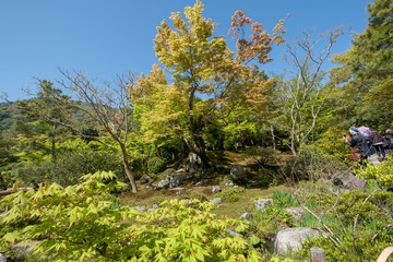Fototapeta na wymiar Water pond, tree with reflection in Japanese zen garden Kyoto Japan