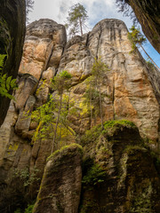 View of famous sandstone rock towers of Adrspach and Teplice Rocks and ancient pines growing between them. Adrspach National Park in northeastern Bohemia, Czech Republic, Europe 