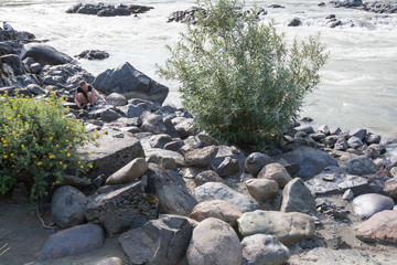 the bank of the Katun river behind the village of Elanda, Chemal district, Altai Republic, Russia, the month of August