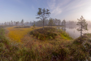 sunrise on the shore of a beautiful marsh lake. North of Leningrad region. Russia