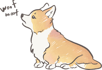 Shama the corgi barks. Dog behaviour and rules for owners. Hand drawn colour illustration.