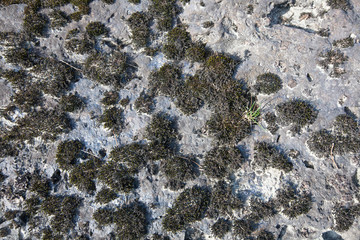 texture of stone lit by the evening sun