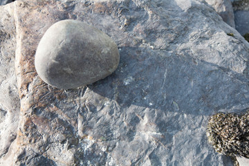 texture of stone lit by the evening sun