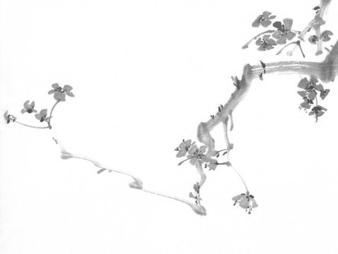 A plum tree branch in bloom. Traditional chinese painting