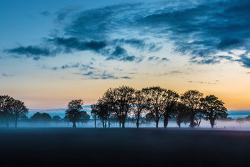 Misty lanscape at sunset with silhouette trees