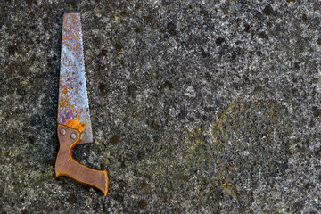 Detail of an old concrete wall covered with lichens, with an old rusty handmade wood peak. Background. Vintage.