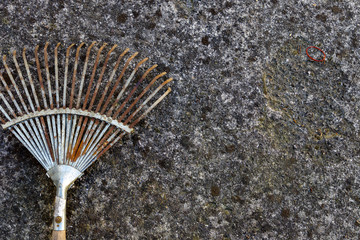 Detail of an old concrete wall covered with lichens, with old rusty leaf rakes. Background. Vintage.