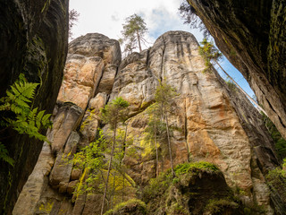 View of famous sandstone rock towers of Adrspach and Teplice Rocks and ancient pines growing between them. Adrspach National Park in northeastern Bohemia, Czech Republic, Europe 