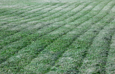 views of manicured lawns stretching into the future