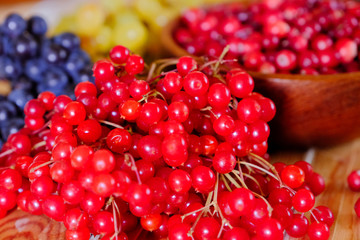 Cranberries, viburnum and grapes