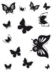 butterfly285