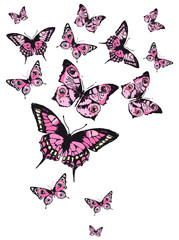 Obraz na płótnie Canvas butterfly287