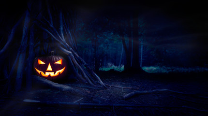 A single halloween Jack O Lantern hiding in a wood shelter, campsite on the forest floor on the...
