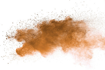 Fototapeta na wymiar Abstract brown powder explosion. Closeup of brown dust particle splash isolated on white background