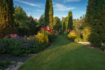 Beautiful flowers and trees landscape in the botanical garden in beauty summer evening. Horizontal orientation