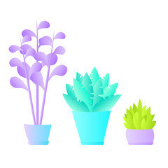 Flat plants set. Indoor plants. Flower pots. Leaves. Foliage. Isometric. Trendy vector collection. Plants collection isolated on white. Flat design. Gradient colors. Outdoor. Tropical.