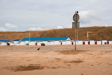  Beach in Netherlands