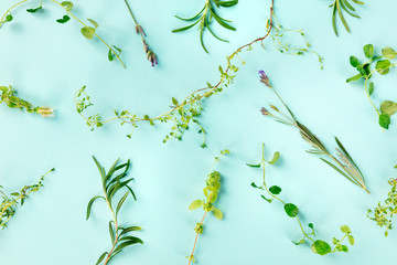 The herbs of Provence. Rosemary, oregano, thyme, lavender, and marjoram, shot from above on a blue background © laplateresca