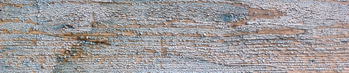 banner of The old blue wood texture