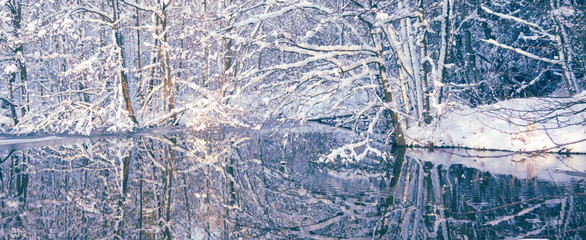 Winter landscape with snow covered trees and forest lake.