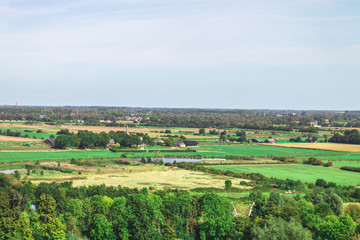 Fototapeta na wymiar Dutch polder landscape