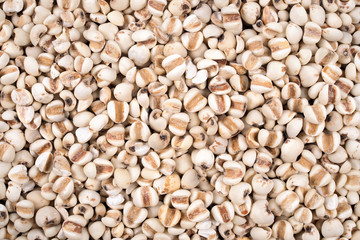 Organic millet grains natural texture for background.