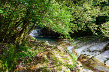 写真素材：面河渓谷、面河渓、愛媛県、風景、渓流
