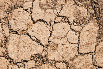 Cracked dry earth background