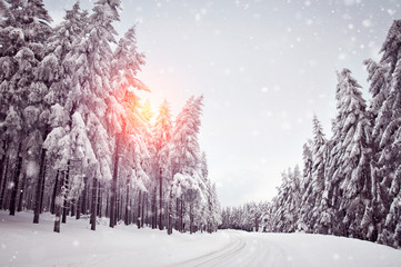 winter snowfall and icy road