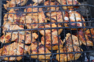 cooking meat on hot coals and fire in the barbecue, on the grill. hot kebabs, and pork barbecue. Fresh hot juicy grill.