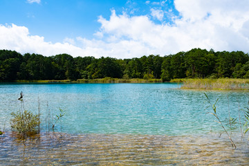 五色沼湖沼群　弁天沼