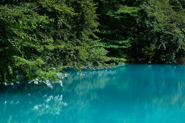 Fototapeta premium 五色沼湖沼群 青沼
