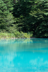 五色沼湖沼群　青沼　縦