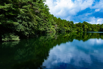 五色沼湖沼群　柳沼