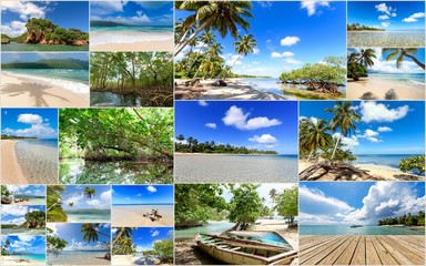 Collage from views of the Caribbean beaches, amazing landscape of Samana, Dominican Republic, with  shells, palm trees, a Caribbean house, flowers, ocean, waves, sky, sun and clouds