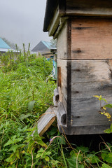 Bee bee farm in the woods in the early morning in the fog. Beekeeping