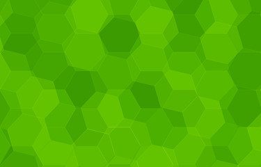 Fototapeta na wymiar Abstract green Hexagon background. Vector banner polygon texture for science