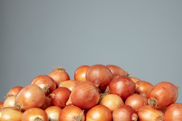 Onions on the grey isolated background
