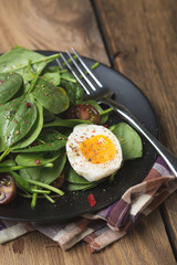 Salad with Fresh Spinach Vegetables and Eggs