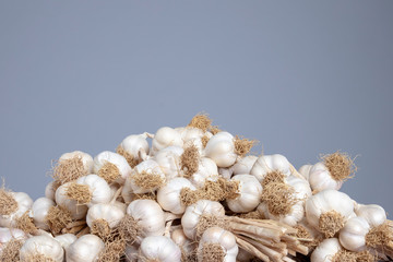 Garlics on the grey isolated background