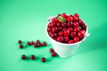 Ripe lingonberry closeup in a white bucket. The concept of a crop of berries, wholesome organic food. Shades of red. Cowberry, foxberry, red bilberry. Green background.