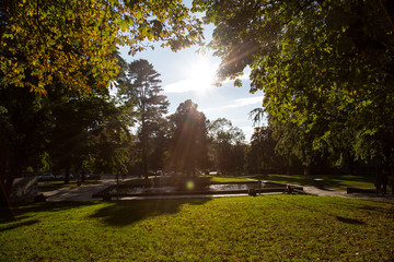 Oslo city park with afternoon sun