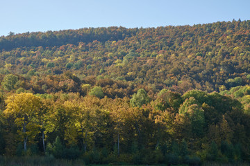 Obraz premium mountains in autumn forest in Sunny weather