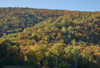 Fototapeta premium mountains in autumn forest in Sunny weather