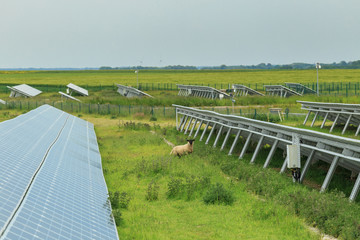 Solar panels on a cloudy day in Normandy, France. Solar energy, modern electric power production technology, renewable energy concept. Environmentally friendly electricity production - 290542964